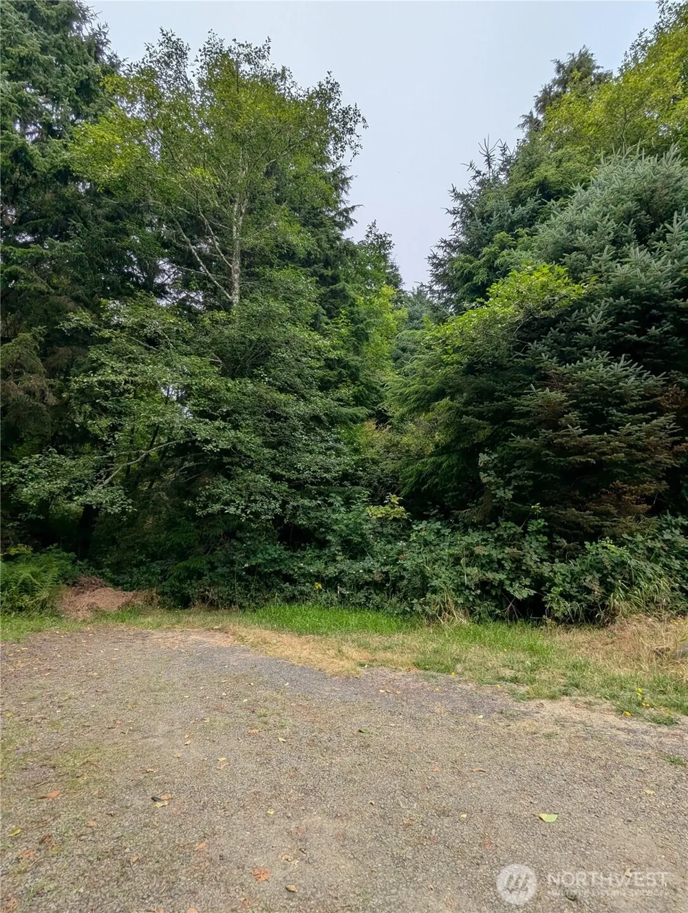 0 LOT 14 Lamontay Place Ilwaco, WA 98624