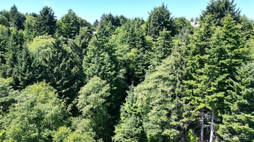 0 LOT 14 Lamontay Place Ilwaco, WA 98624