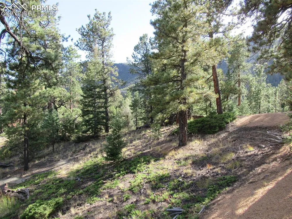 213 Coffee Pot Road Manitou Springs, CO 80829