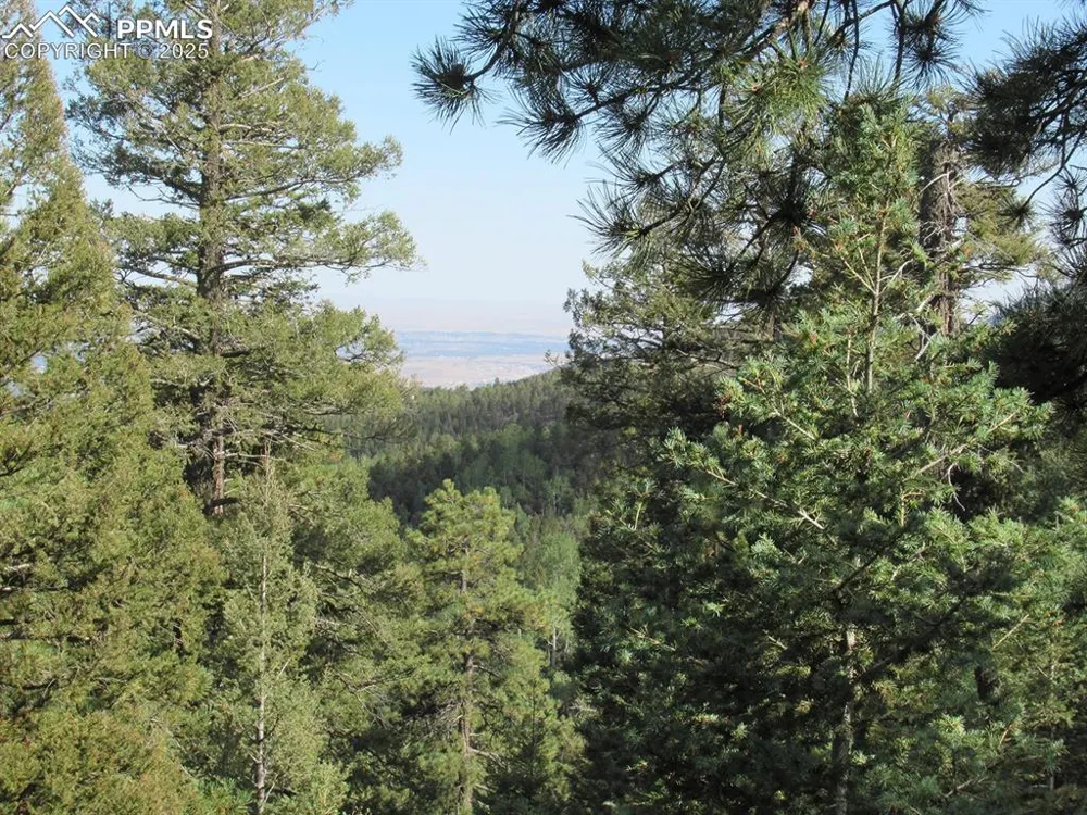 213 Coffee Pot Road Manitou Springs, CO 80829