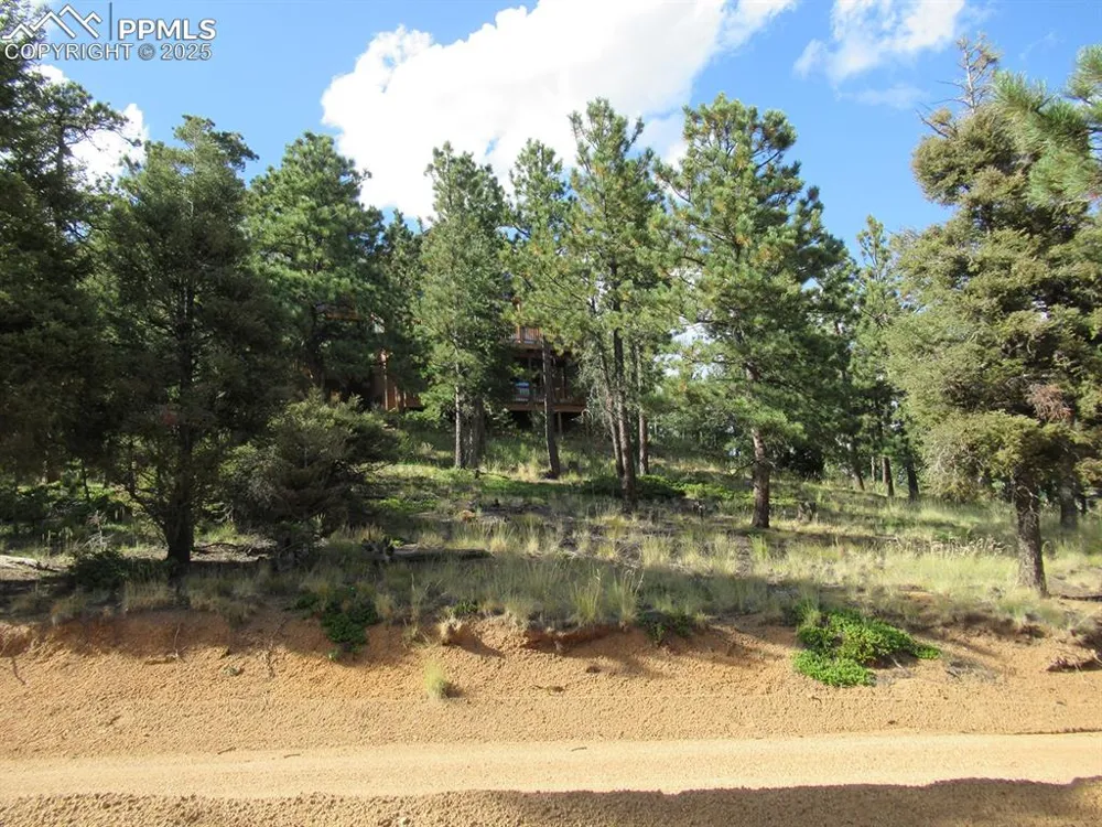 213 Coffee Pot Road Manitou Springs, CO 80829