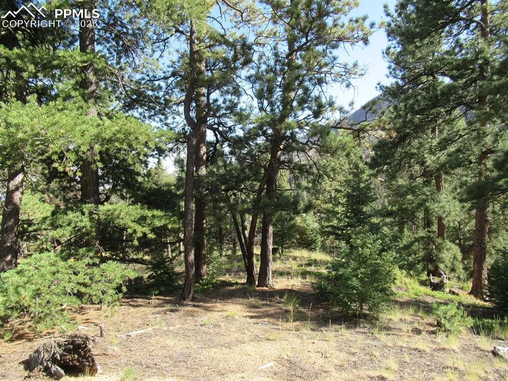 213 Coffee Pot Road Manitou Springs, CO 80829