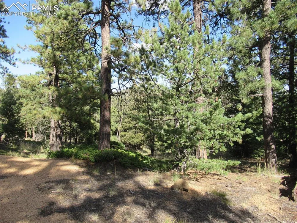 213 Coffee Pot Road Manitou Springs, CO 80829