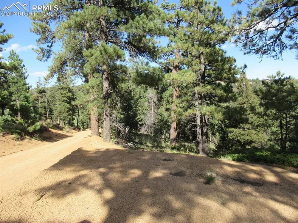 213 Coffee Pot Road Manitou Springs, CO 80829