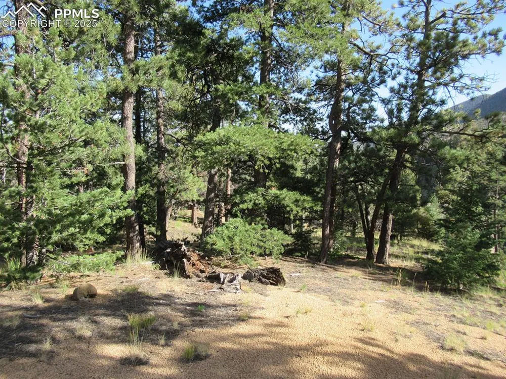 213 Coffee Pot Road Manitou Springs, CO 80829