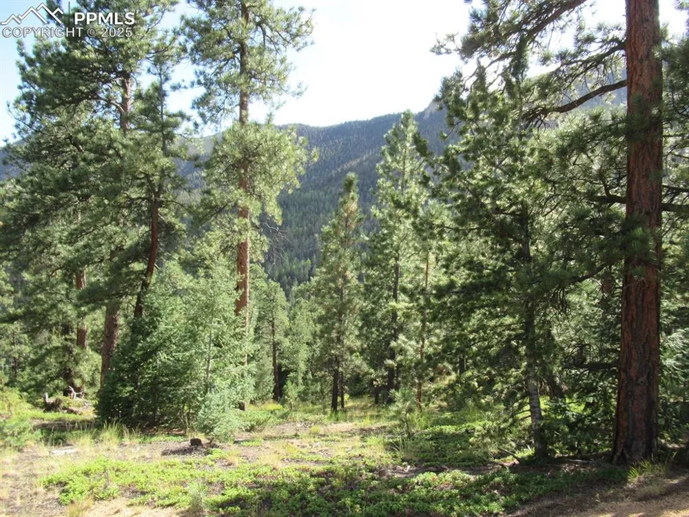 213 Coffee Pot Road Manitou Springs, CO 80829