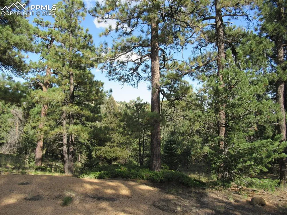 213 Coffee Pot Road Manitou Springs, CO 80829