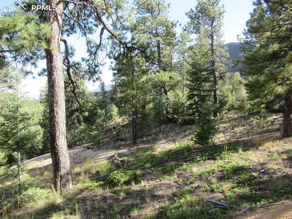 213 Coffee Pot Road Manitou Springs, CO 80829