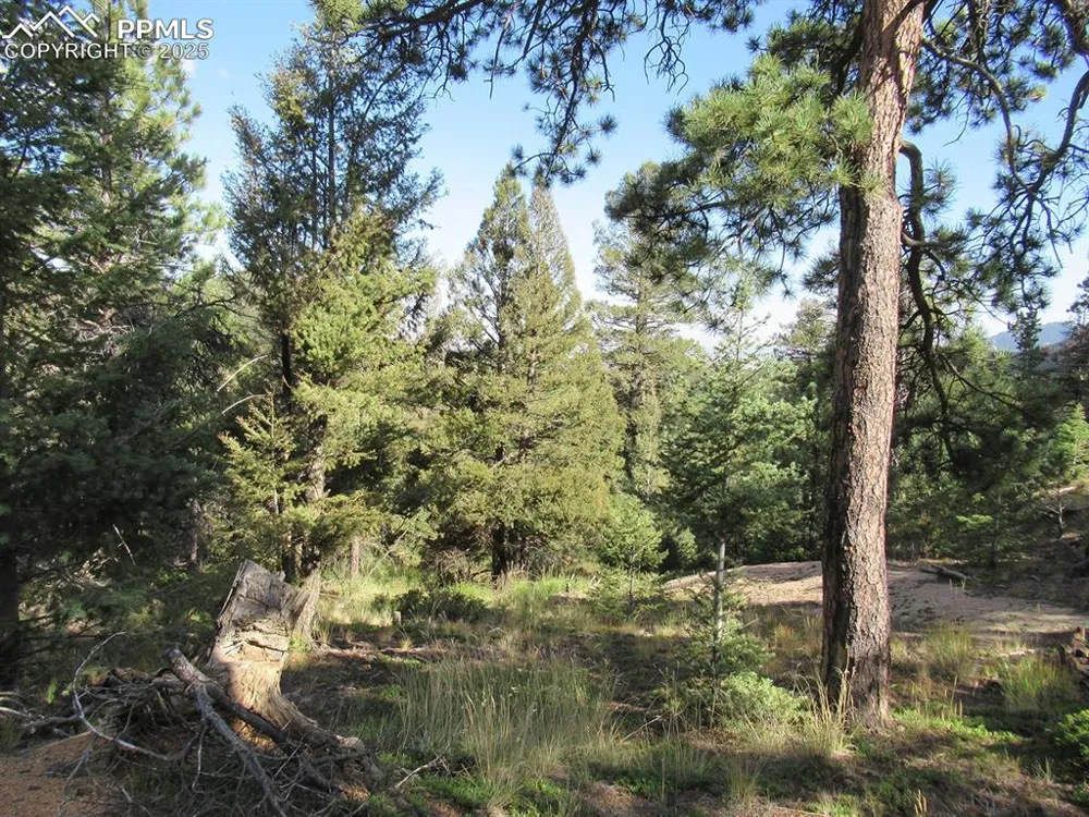 213 Coffee Pot Road Manitou Springs, CO 80829
