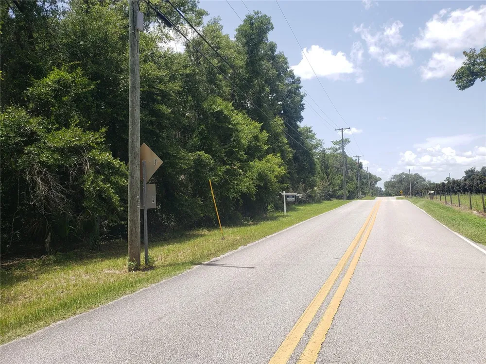 REYNOLDS ROAD De Leon Springs, FL 32130