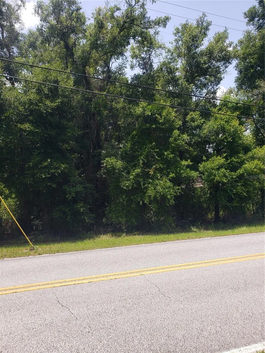 REYNOLDS ROAD De Leon Springs, FL 32130