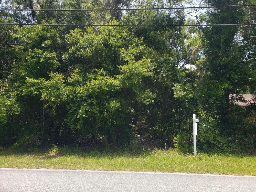 REYNOLDS ROAD De Leon Springs, FL 32130