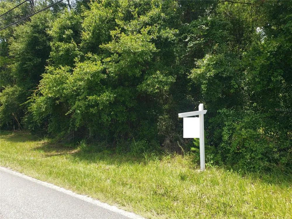 REYNOLDS ROAD De Leon Springs, FL 32130