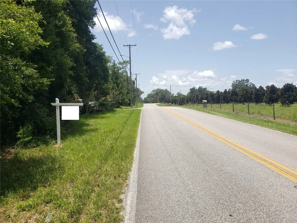 REYNOLDS ROAD De Leon Springs, FL 32130