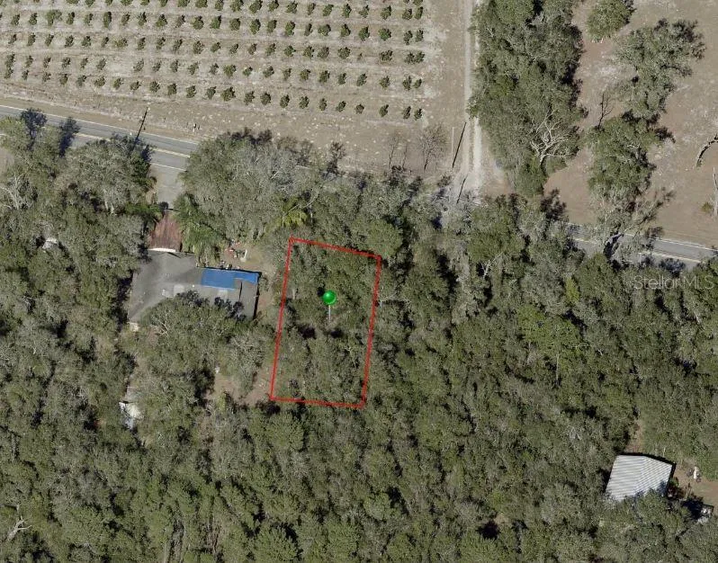 REYNOLDS ROAD De Leon Springs, FL 32130