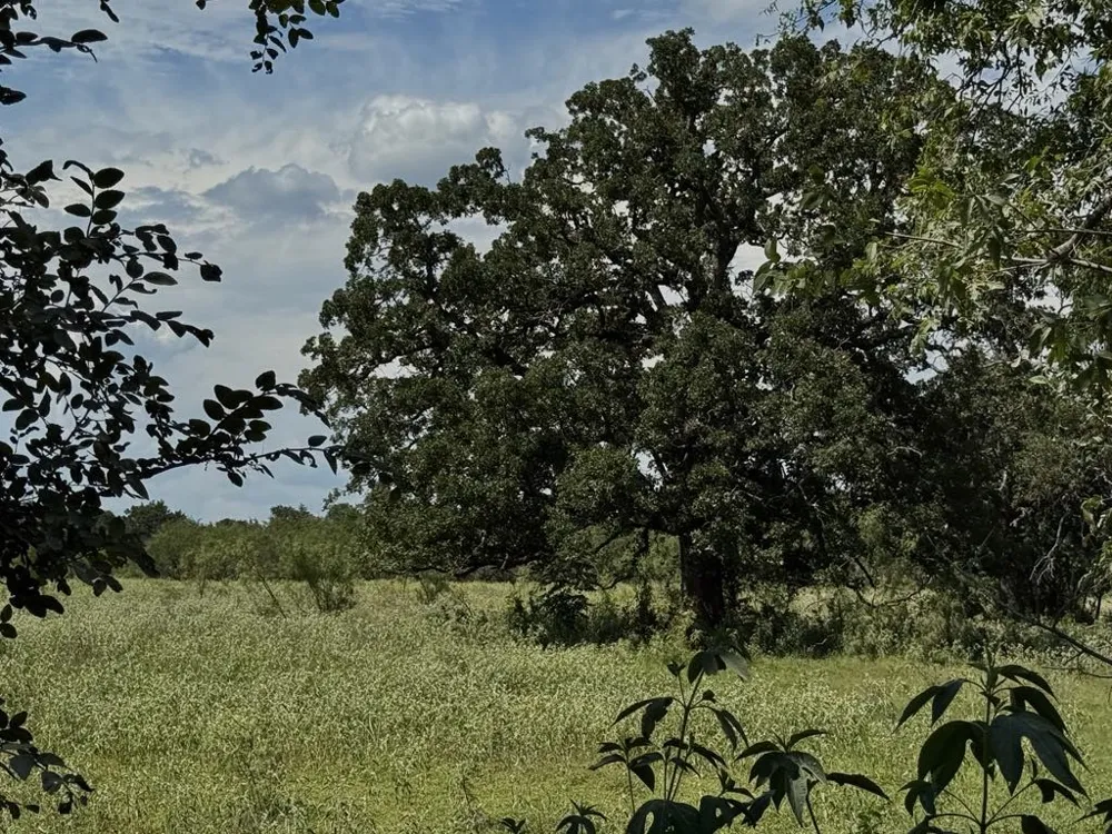 HWY 6 Riesel, TX 76682