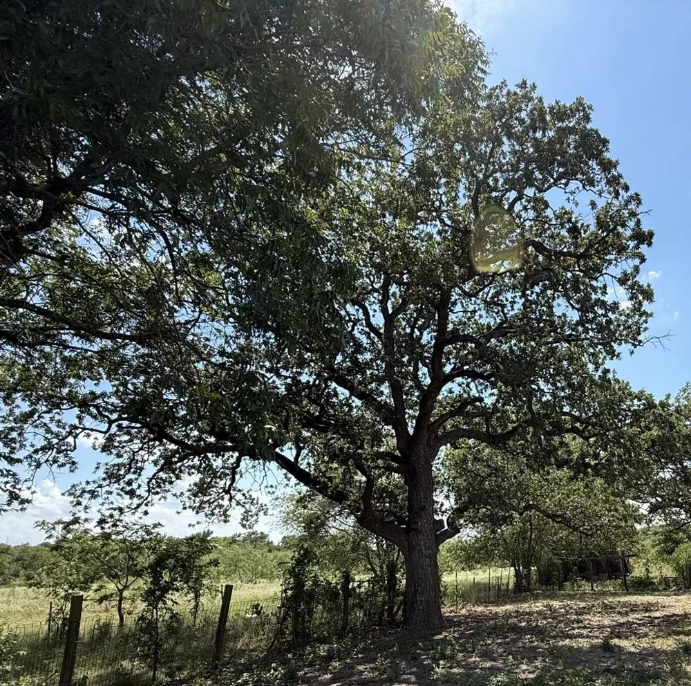 HWY 6 Riesel, TX 76682