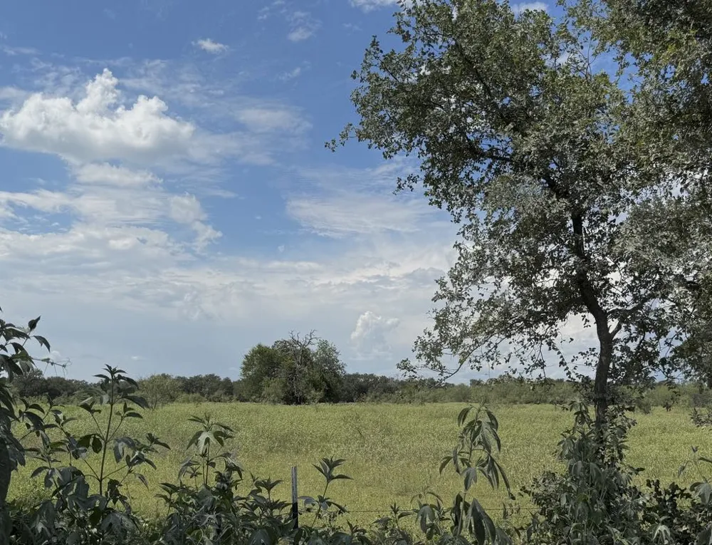 HWY 6 Riesel, TX 76682