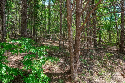 Lot 12 Meadow Crossing Drive