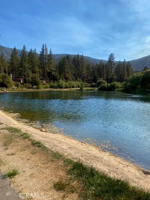 1912 Freeman Drive Pine Mountain Club, CA 93222