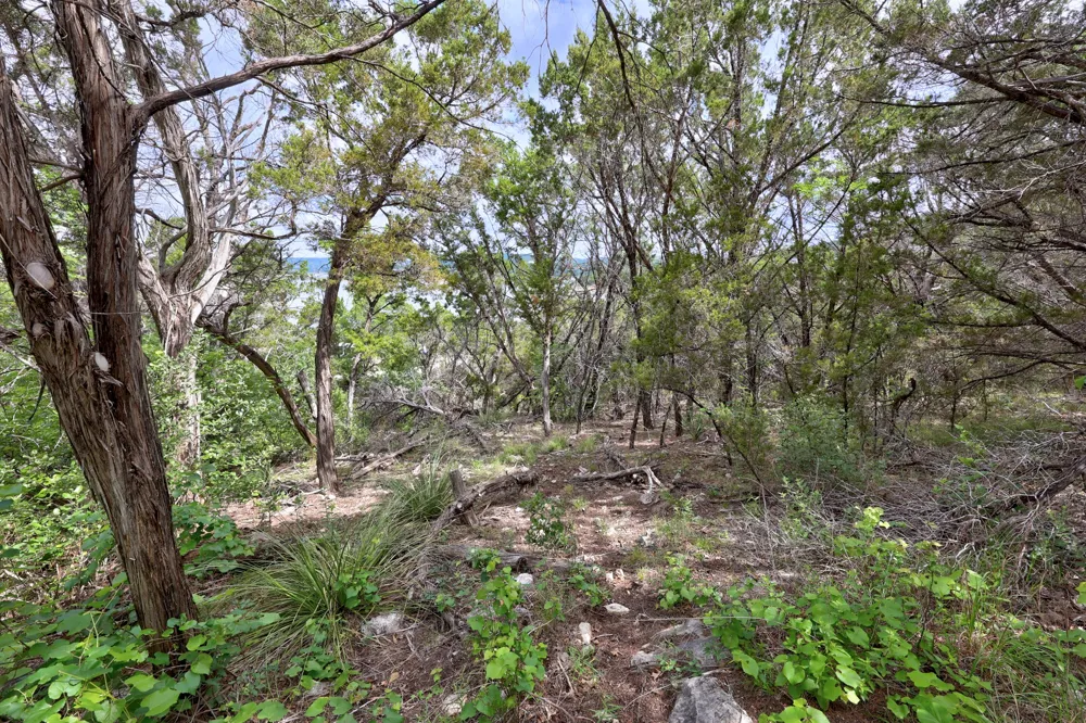 9006 Lime Creek Road Volente, TX 78641