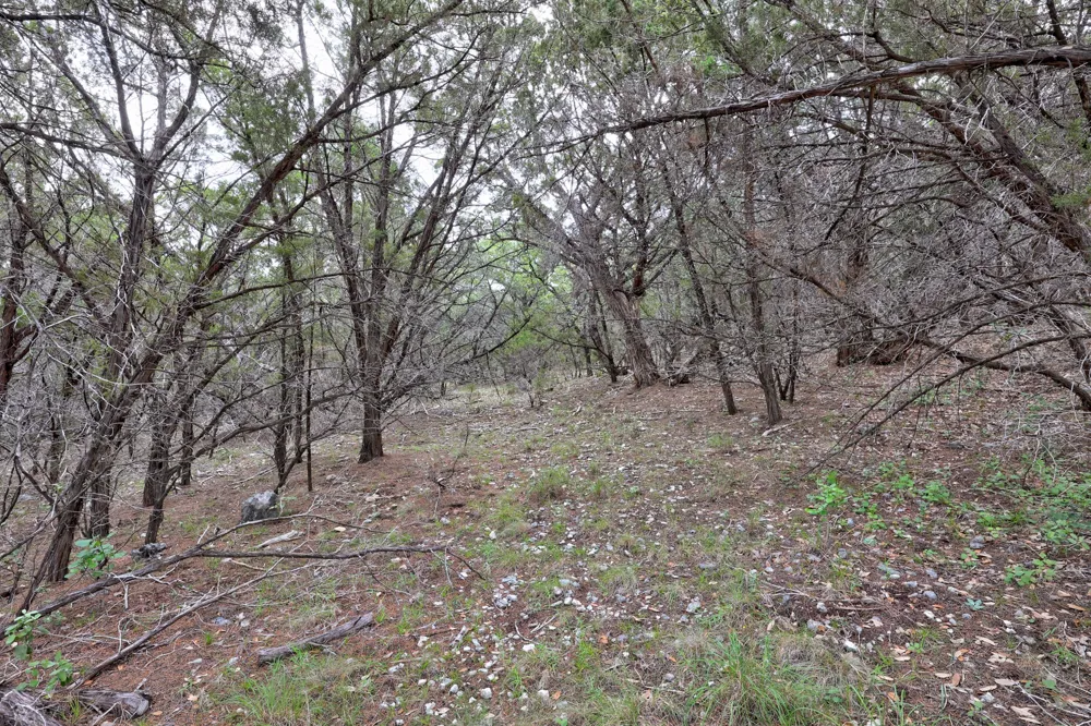 9006 Lime Creek Road Volente, TX 78641