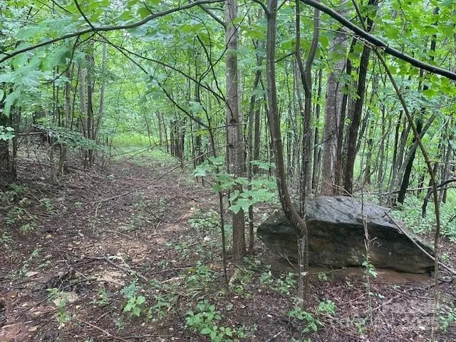 00 Cherry Hill Street Mill Spring, NC 28756