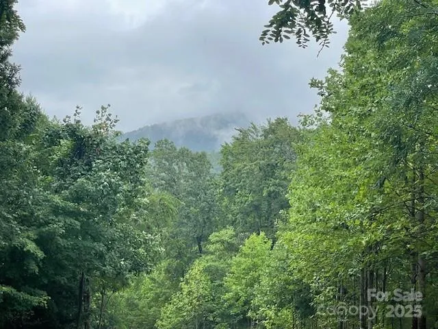 00 Cherry Hill Street Mill Spring, NC 28756