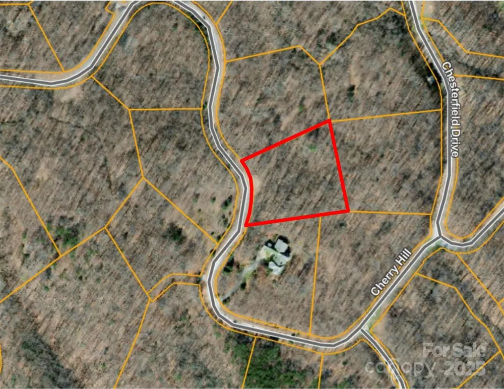 00 Cherry Hill Street Mill Spring, NC 28756