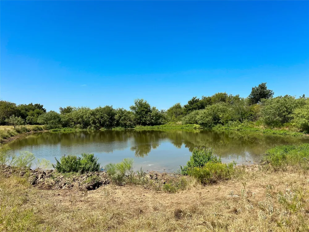 496 Fm-1512 Jewett, TX 75846