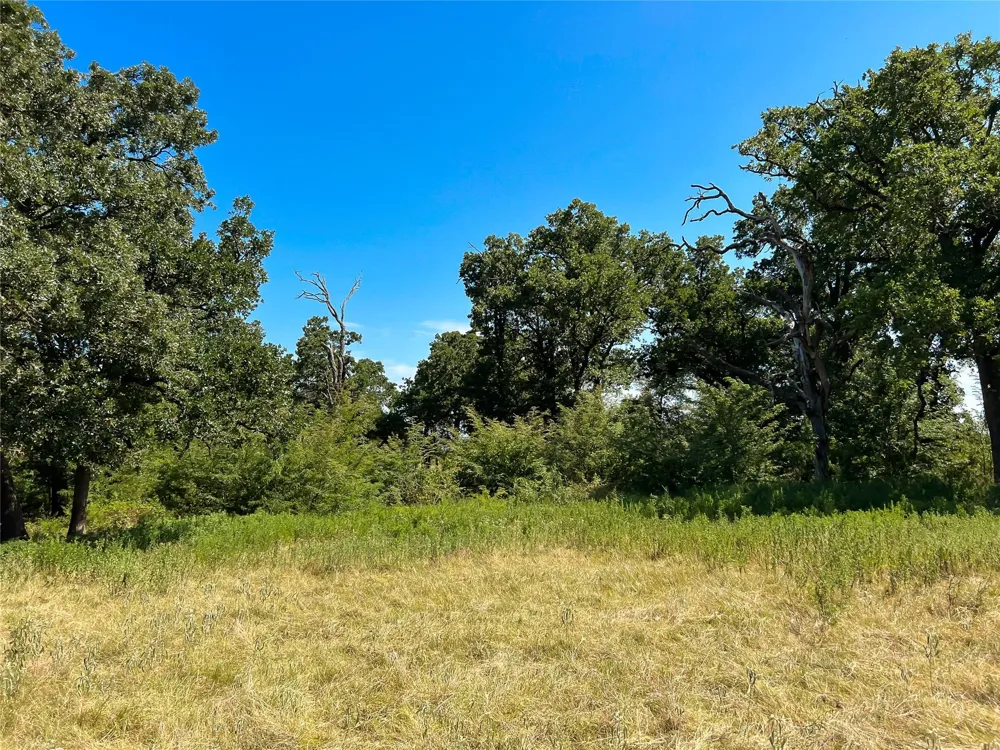 496 Fm-1512 Jewett, TX 75846