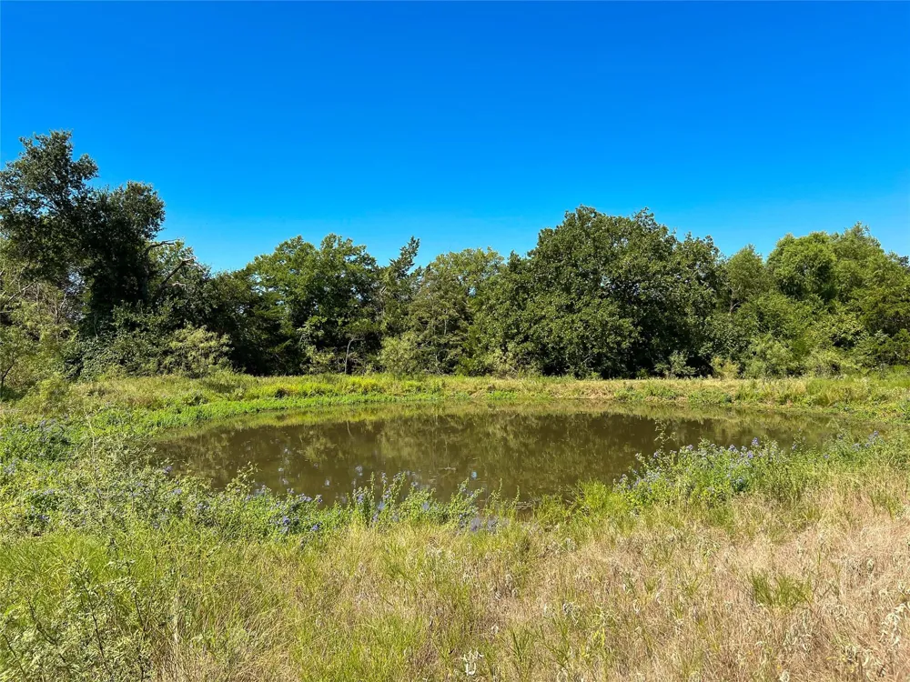 496 Fm-1512 Jewett, TX 75846