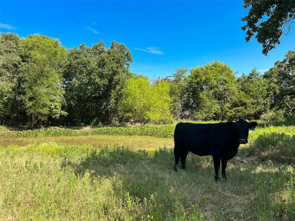 496 Fm-1512 Jewett, TX 75846