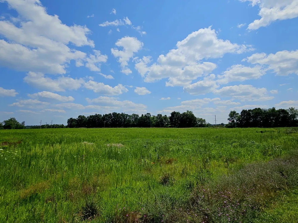 W Carleton Road Jonesville, MI 49250