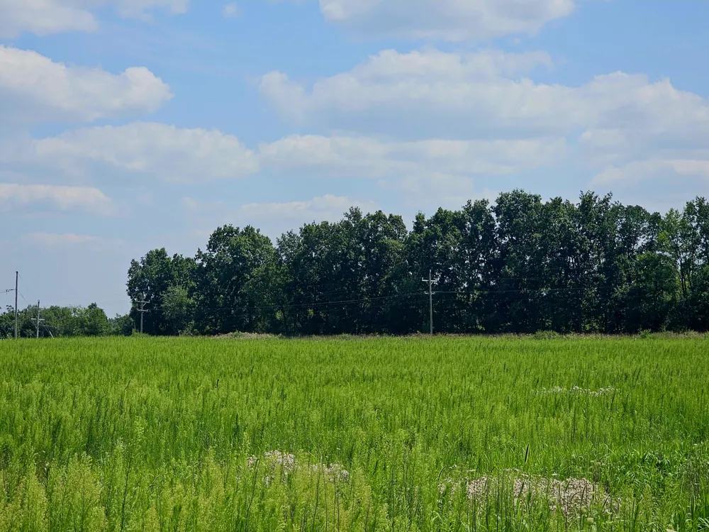 W Carleton Road Jonesville, MI 49250