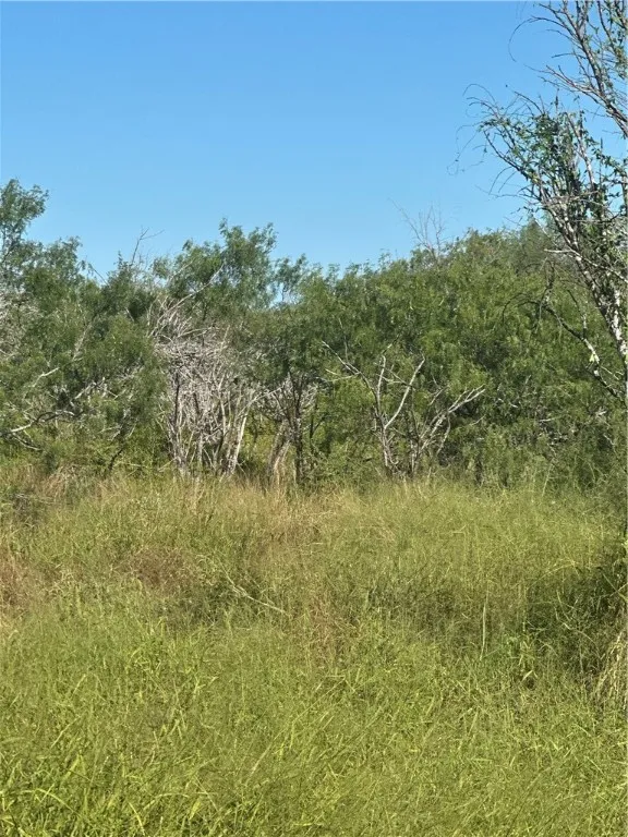 21316 COUNTY RD 798 Mathis, TX 78389