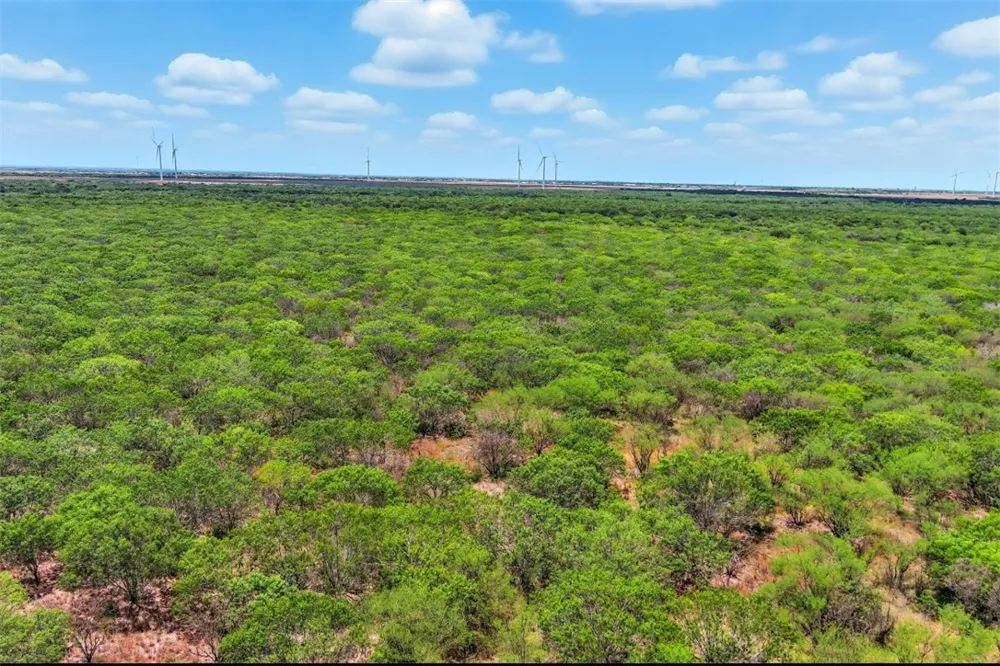 21316 COUNTY RD 798 Mathis, TX 78389
