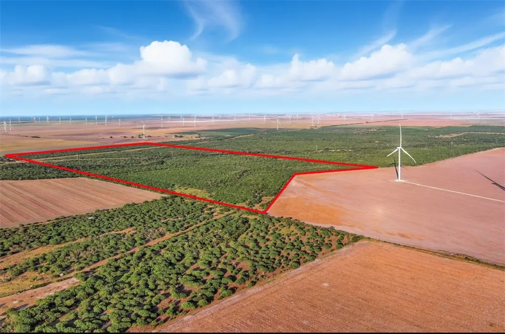 21316 COUNTY RD 798 Mathis, TX 78389