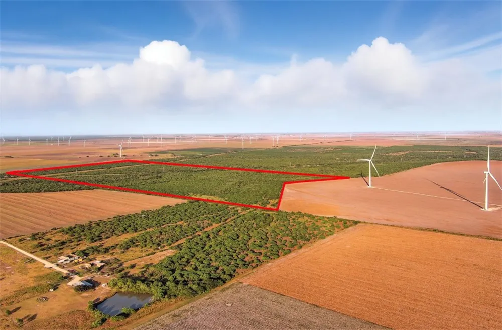21316 COUNTY RD 798 Mathis, TX 78389