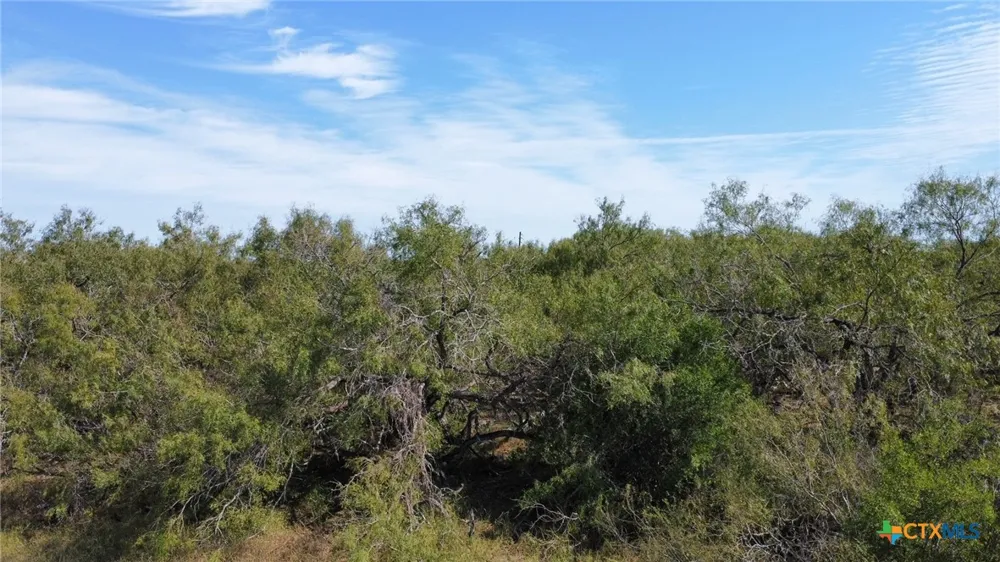 4 County Road 1144 #4 Sinton, TX 78387