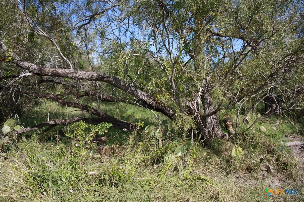 4 County Road 1144 #4 Sinton, TX 78387