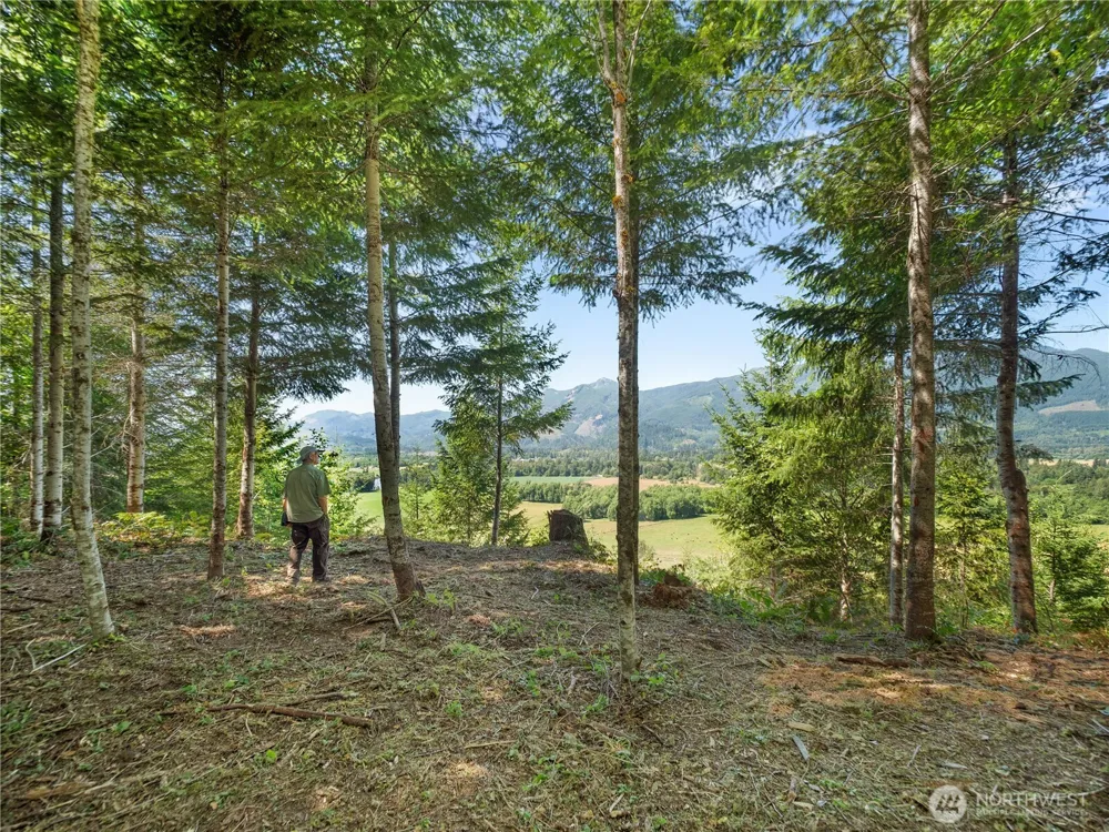 3 Skinner Road Randle, WA 98377