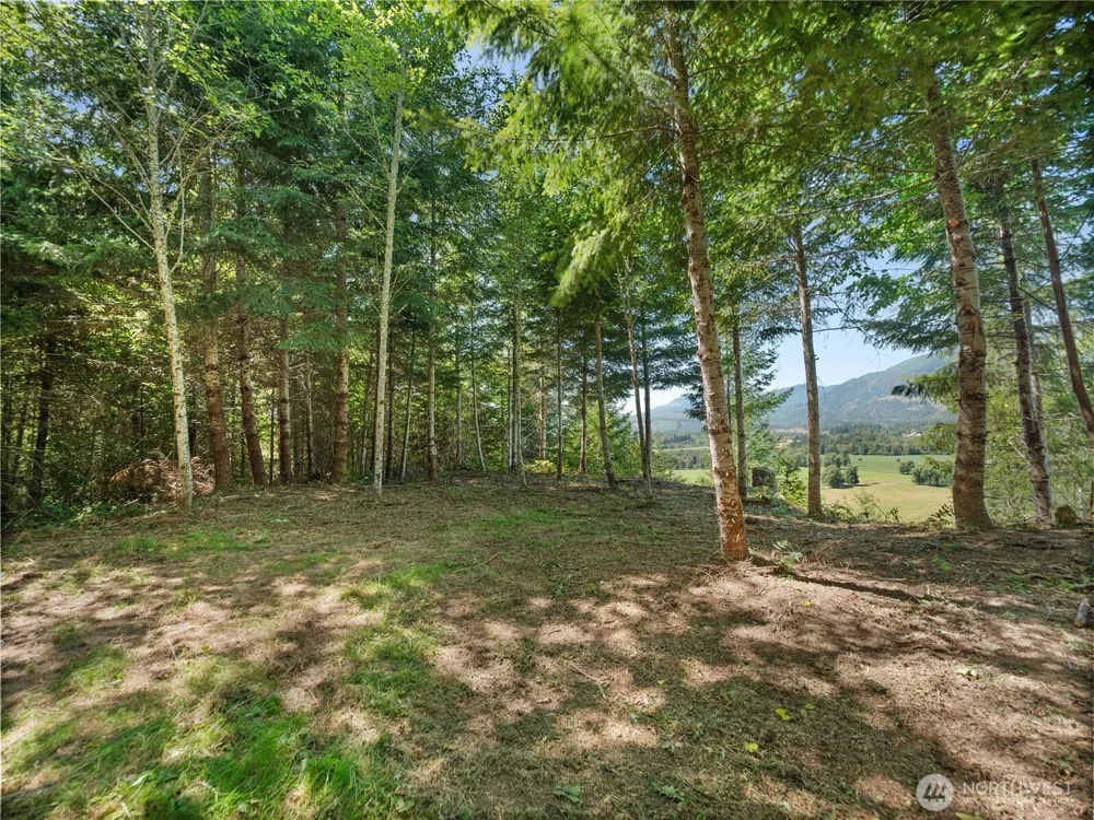 3 Skinner Road Randle, WA 98377