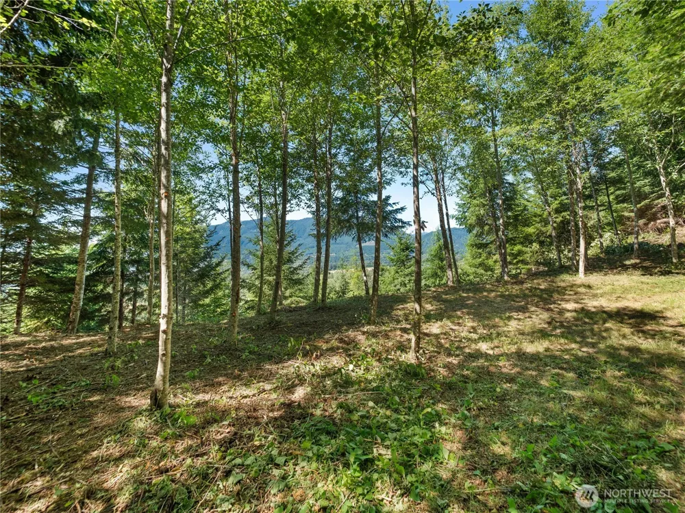 3 Skinner Road Randle, WA 98377