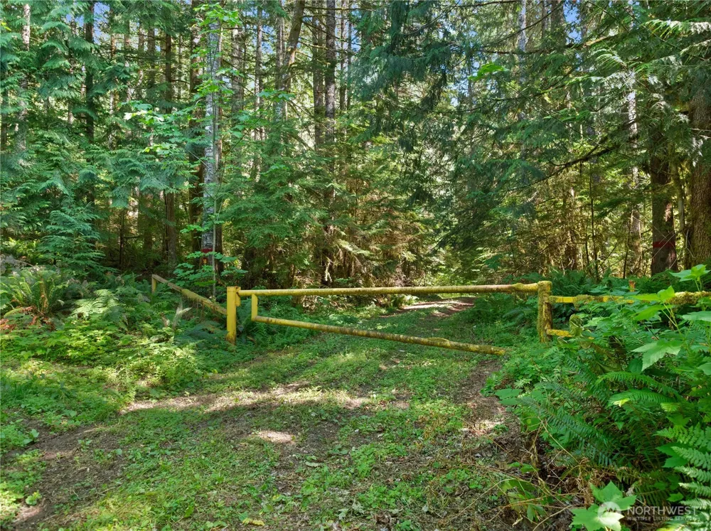 3 Skinner Road Randle, WA 98377