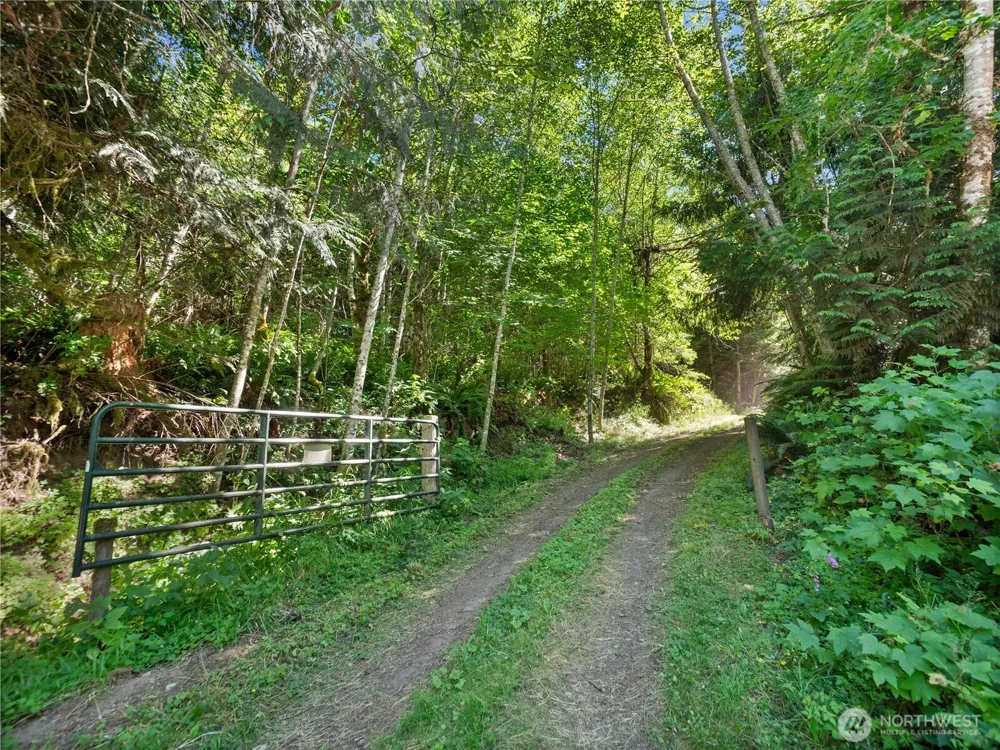 3 Skinner Road Randle, WA 98377