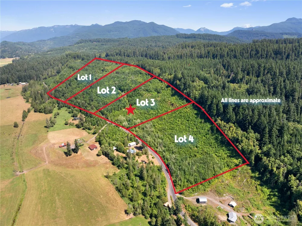 3 Skinner Road Randle, WA 98377