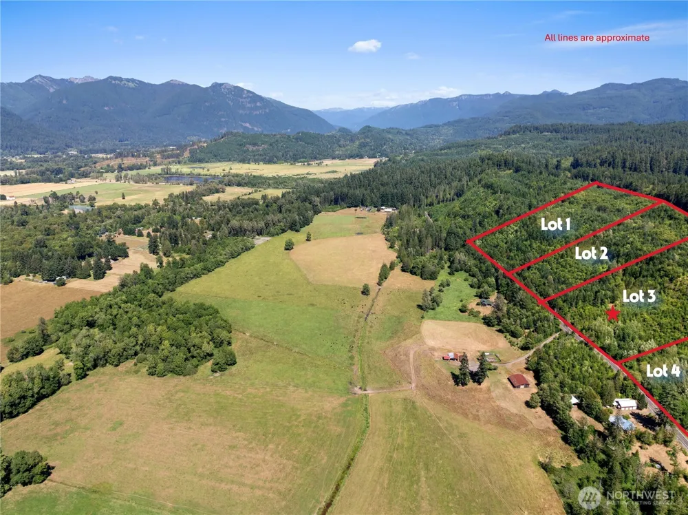 3 Skinner Road Randle, WA 98377