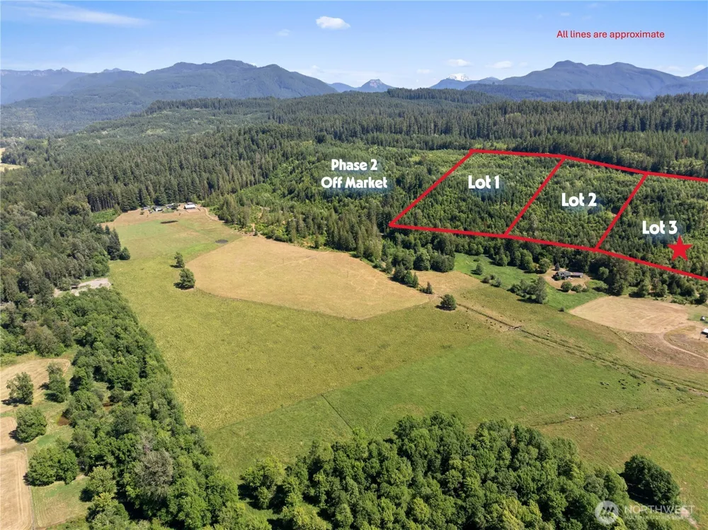 3 Skinner Road Randle, WA 98377