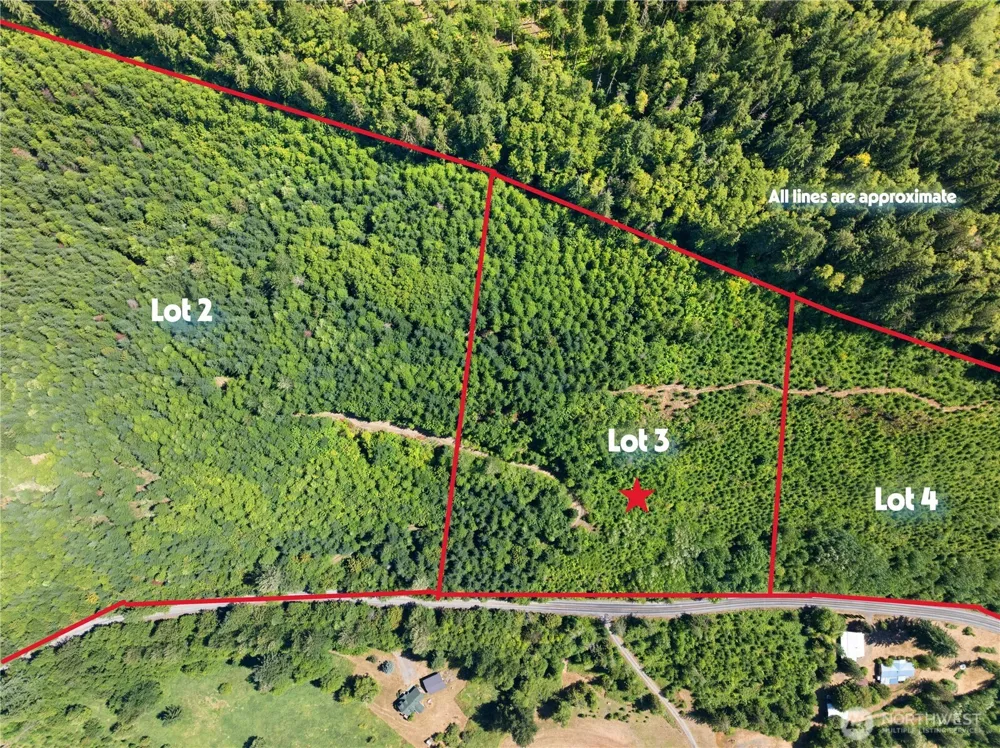 3 Skinner Road Randle, WA 98377